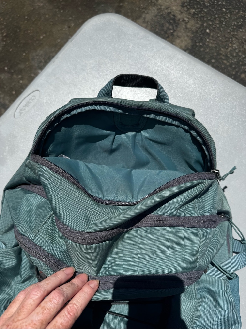 Patagonia Daypack Backpack | Green | Lightweight Hiking, Travel & Everyday Bag - Picture 6 of 7